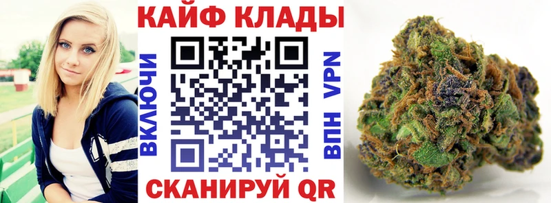 Где можно купить наркотики Зуевка Псилоцибиновые грибы  Cocaine  Гашиш  Мефедрон  МАРИХУАНА 