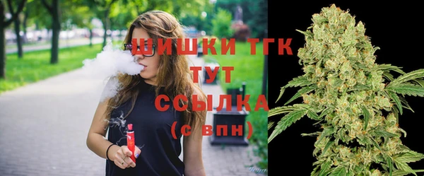 гашик Сатка